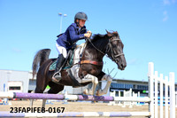 23FAPIFEB-0167
