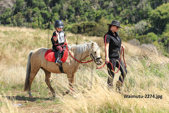 Waimutu-2274