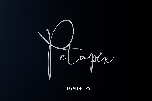 EGMT-8175
