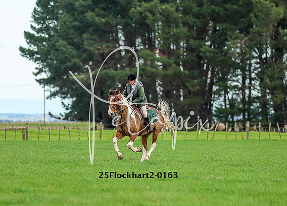 25Flockhart2-0163