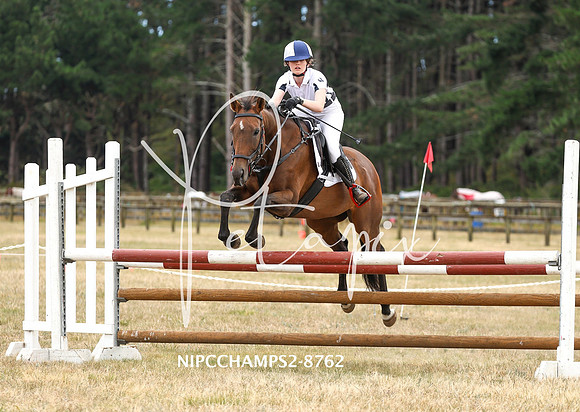 NIPCCHAMPS2-8762