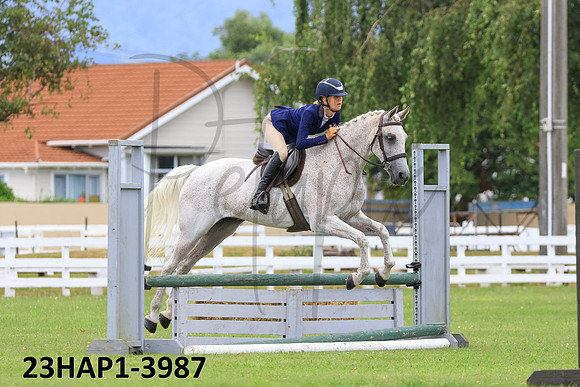 23HAP1-3987