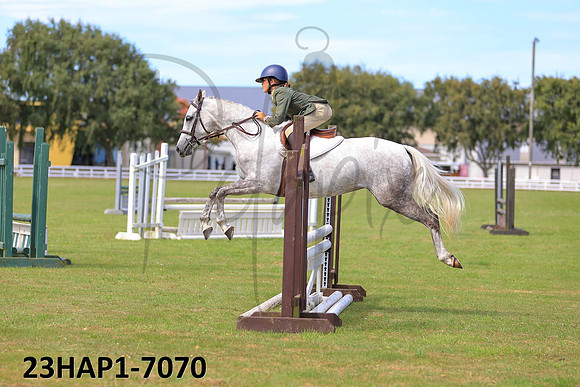 23HAP1-7070