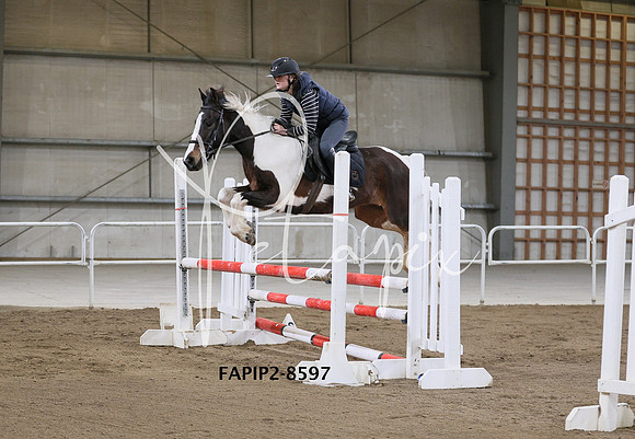 FAPIP2-8597