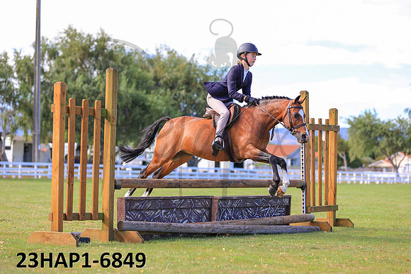 23HAP1-6849