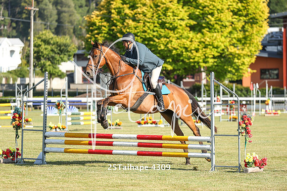 25Taihape-4309