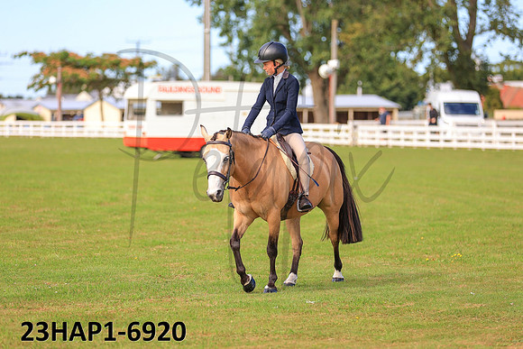 23HAP1-6920