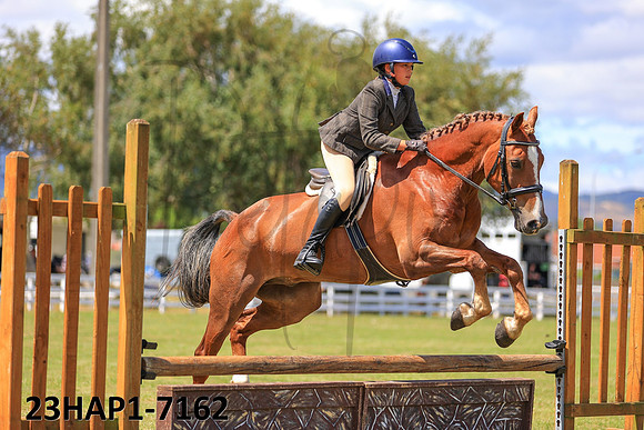 23HAP1-7162