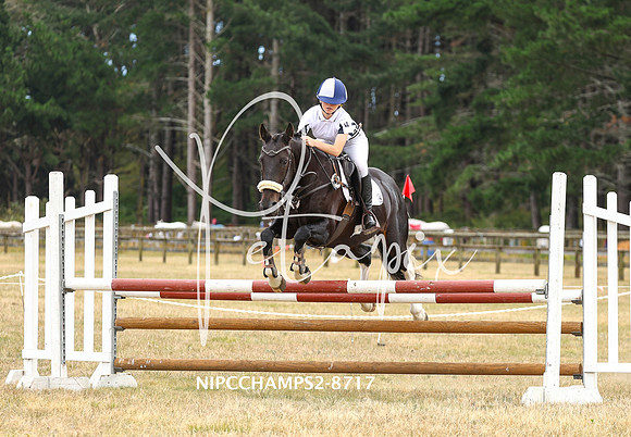 NIPCCHAMPS2-8717