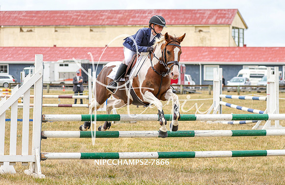 NIPCCHAMPS2-7866