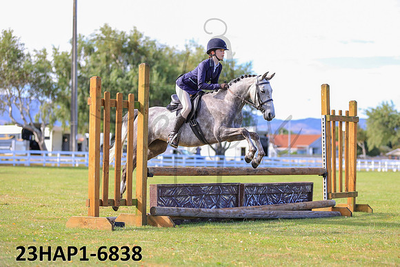 23HAP1-6838