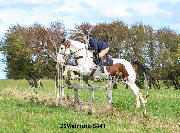 25Waimutu-8441
