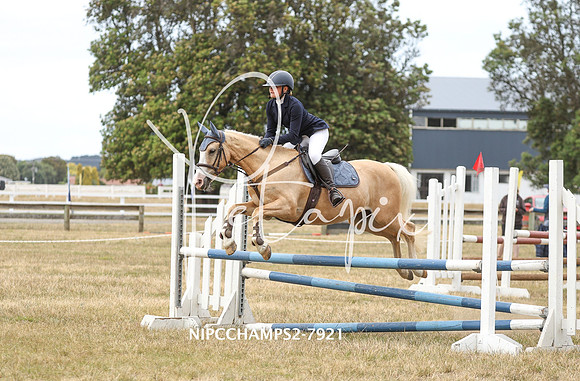 NIPCCHAMPS2-7921