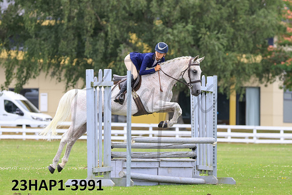 23HAP1-3991
