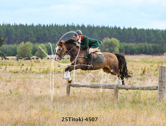 25Titoki-4507