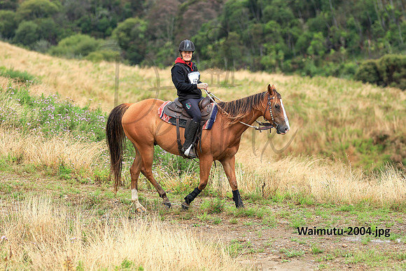 Waimutu-2004