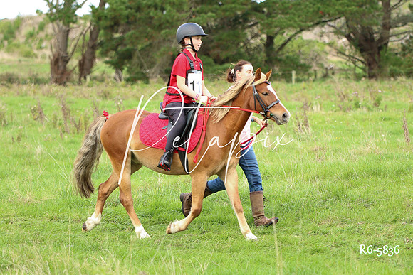 R6-5836