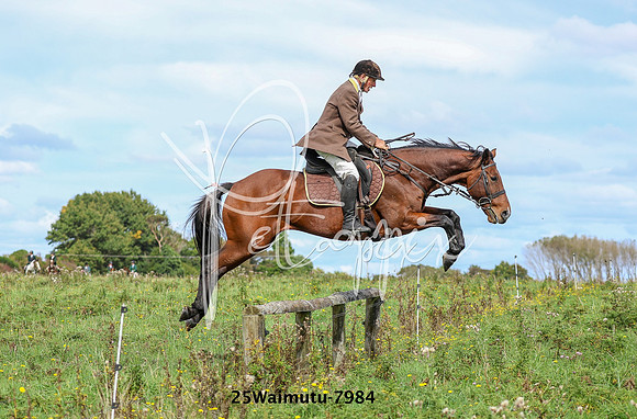 25Waimutu-7984