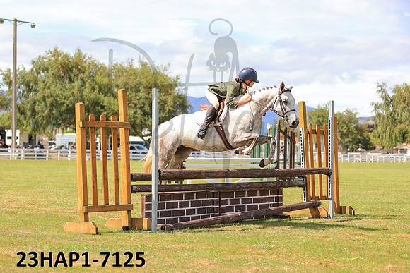 23HAP1-7125