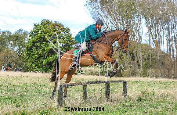 25Waimutu-7884