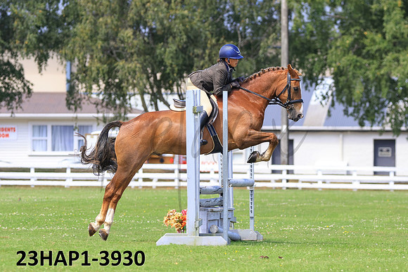 23HAP1-3930