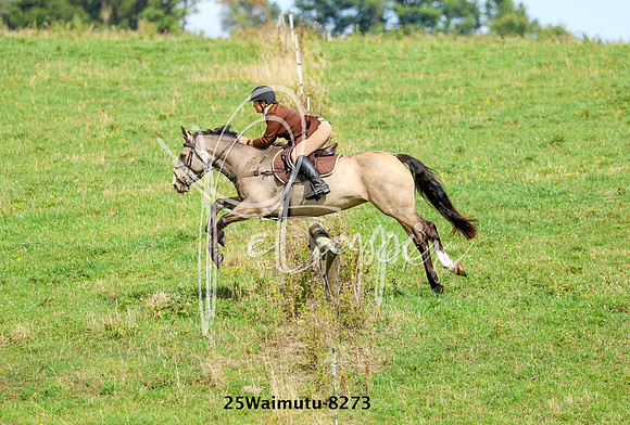 25Waimutu-8273