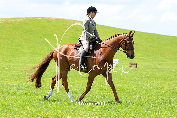 24WAV-5400