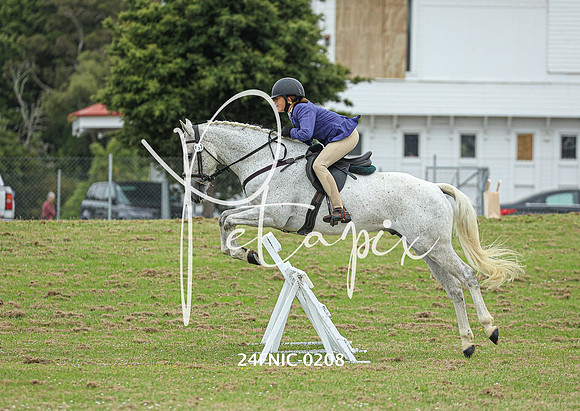 24FNIC-0208