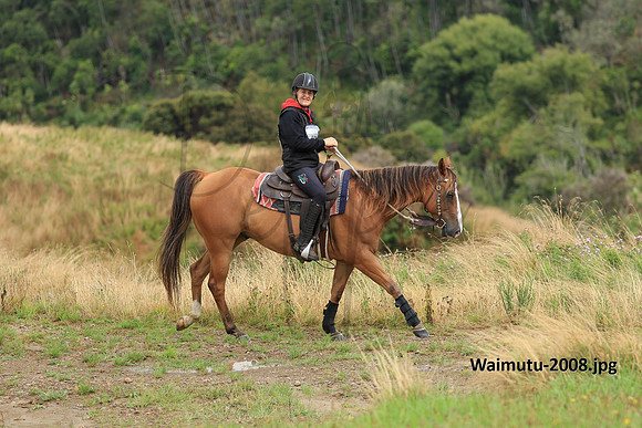 Waimutu-2008