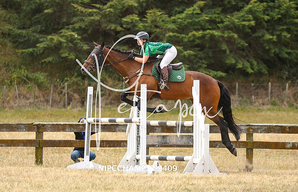 NIPCCHAMPS2-9409