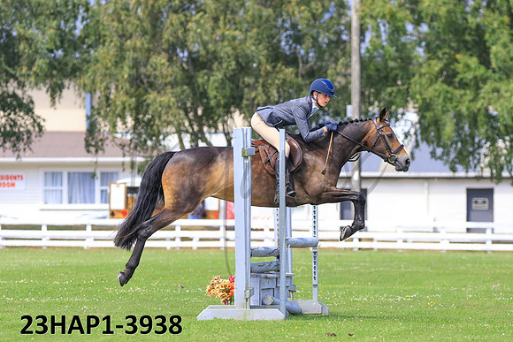 23HAP1-3938