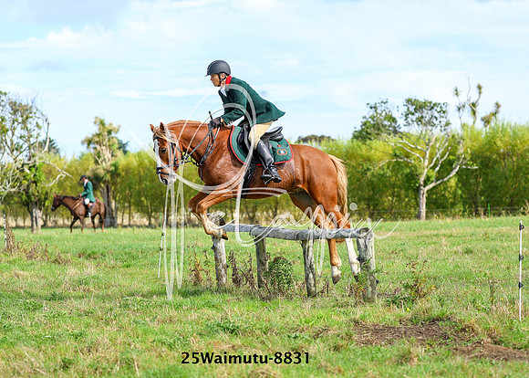25Waimutu-8831
