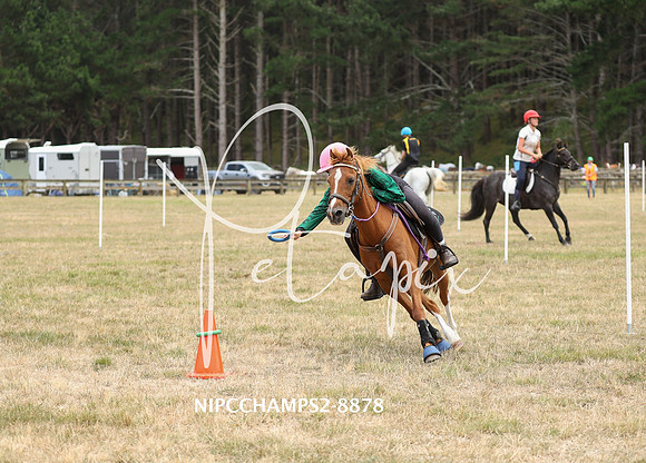 NIPCCHAMPS2-8878