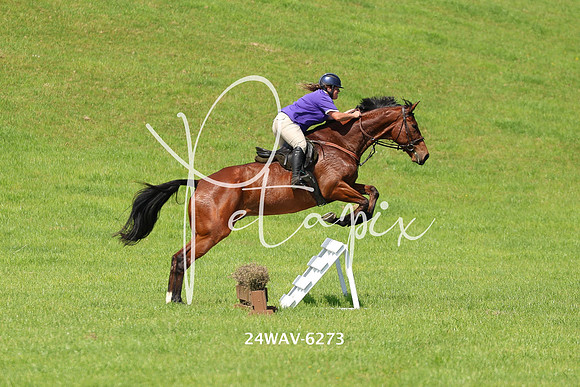 24WAV-6273