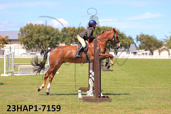23HAP1-7159