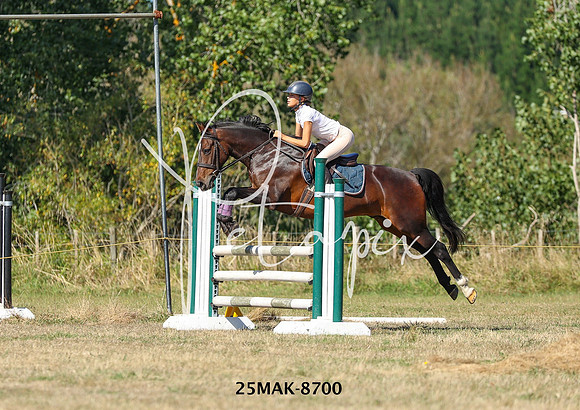 25MAK-8700