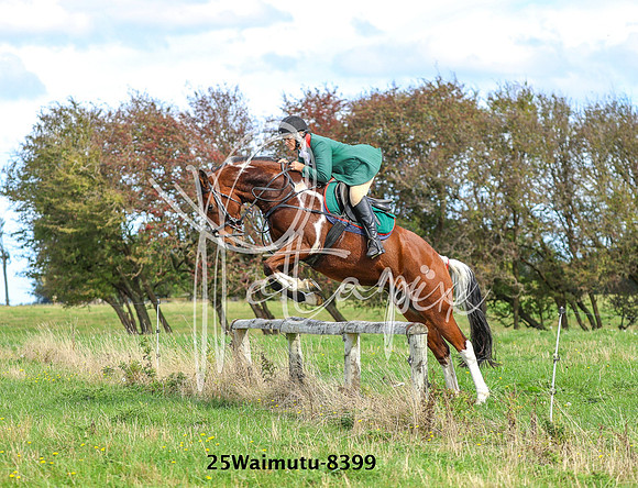 25Waimutu-8399