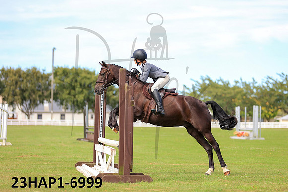 23HAP1-6999