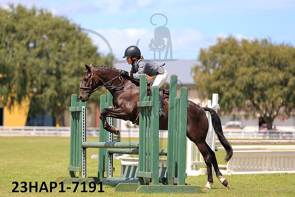 23HAP1-7191
