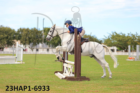 23HAP1-6933