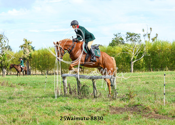 25Waimutu-8830