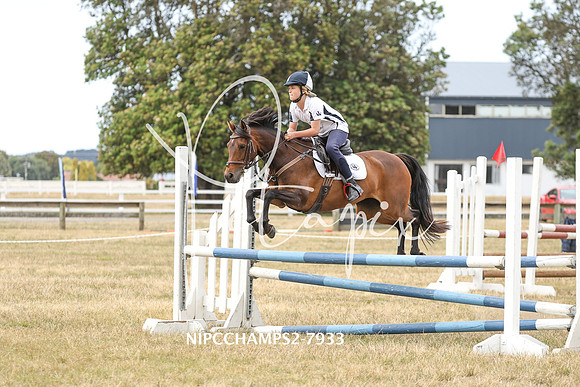 NIPCCHAMPS2-7933