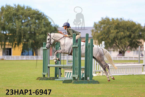 23HAP1-6947