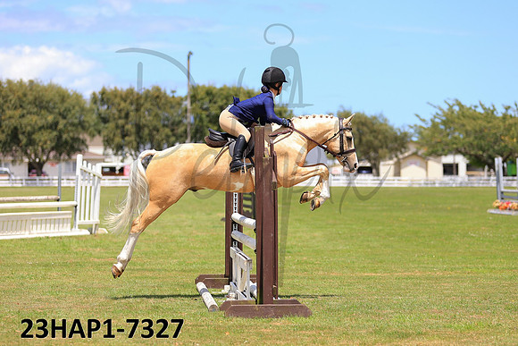 23HAP1-7327