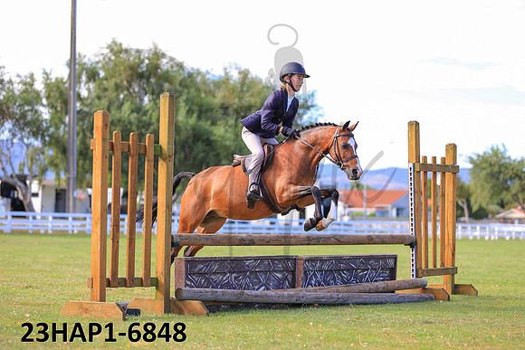 23HAP1-6848
