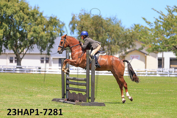 23HAP1-7281