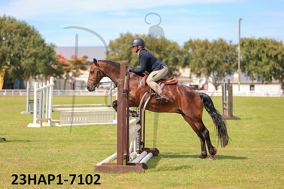 23HAP1-7102