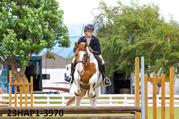 23HAP1-3970