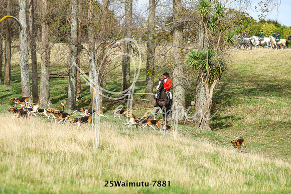 25Waimutu-7881