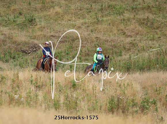 25Horrocks-1575